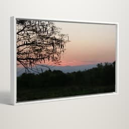 Quadro decorativo - Céu de inverno escarlate