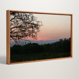 Quadro decorativo - Céu de inverno escarlate