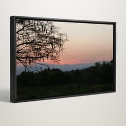 Quadro decorativo - Céu de inverno escarlate