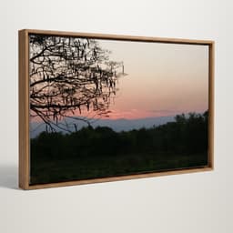 Quadro decorativo - Céu de inverno escarlate