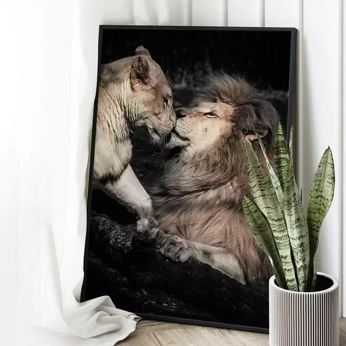 Quadro Decorativo Casal de Leões Fotografia Com Fundo Preto