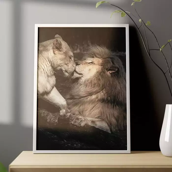 Quadro Decorativo Casal de Leões Fotografia Com Fundo Preto
