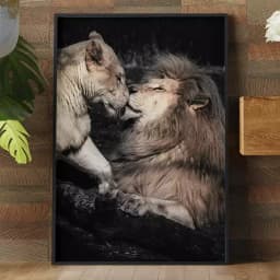 Quadro Decorativo Casal de Leões Fotografia Com Fundo Preto