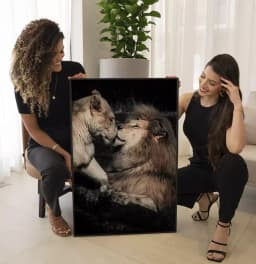 Quadro Decorativo Casal de Leões Fotografia Com Fundo Preto