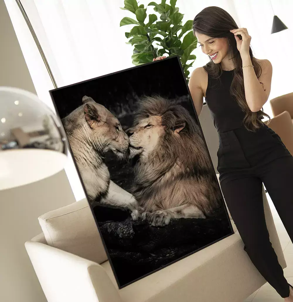 Quadro Decorativo Casal de Leões Fotografia Com Fundo Preto