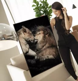 Quadro Decorativo Casal de Leões Fotografia Com Fundo Preto