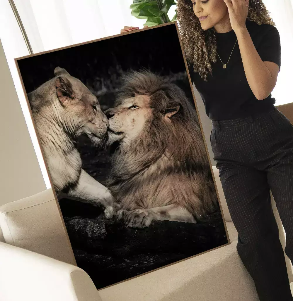 Quadro Decorativo Casal de Leões Fotografia Com Fundo Preto
